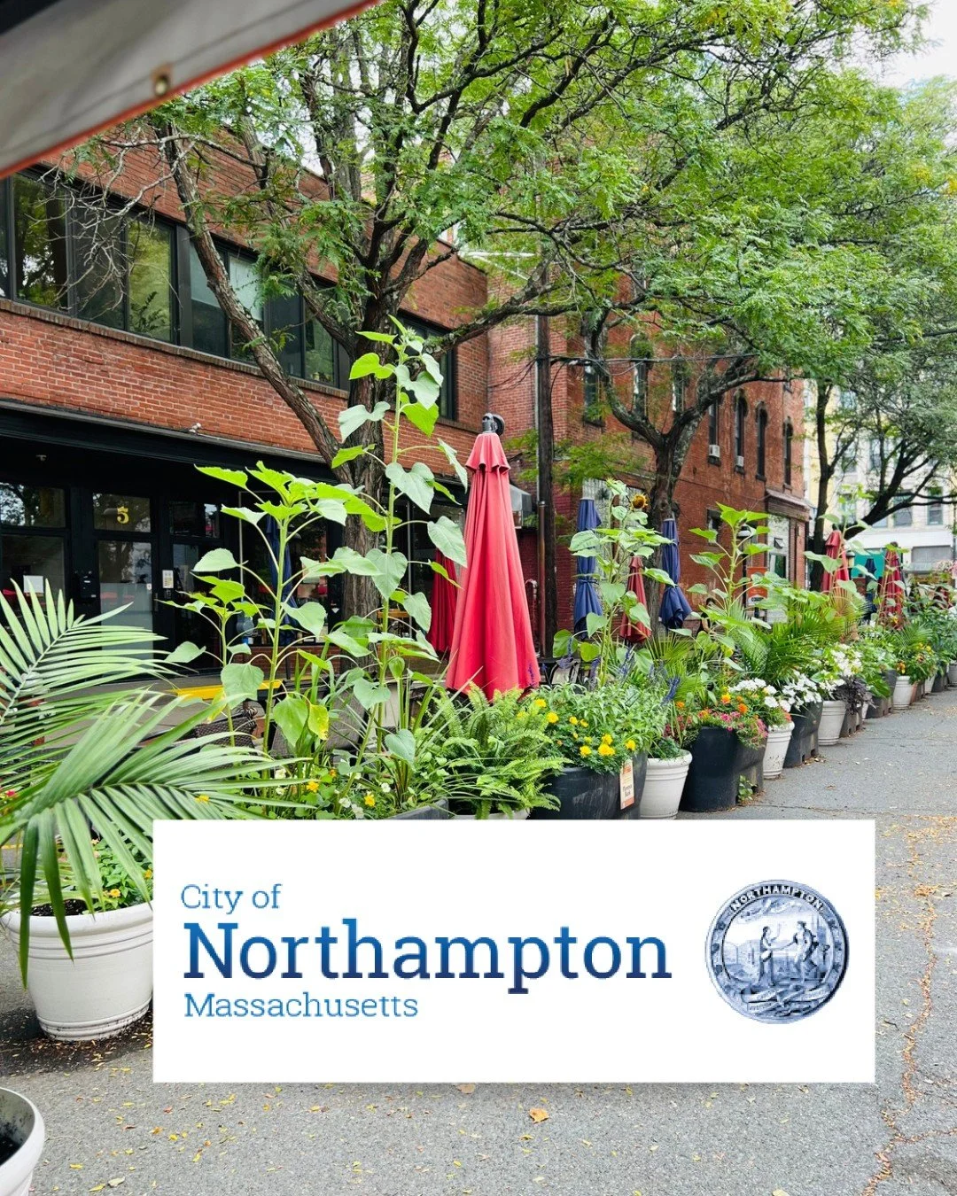 A huge thank you to the City of Northampton for their continued support of Summer on Strong!
*
*
*
#westernmass #northamptonma #summeronstrong