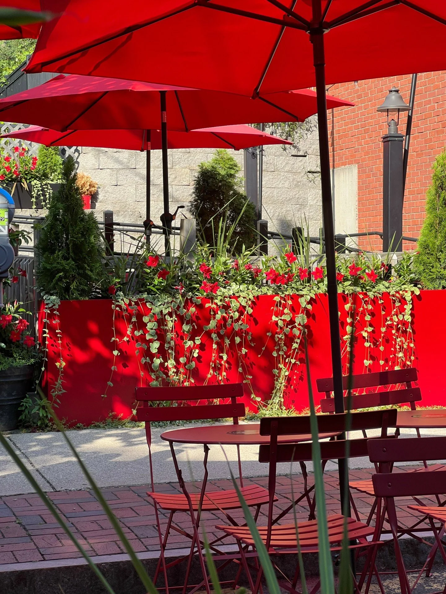 Loving this late summer light at Familiars Coffee &amp; Tea.
Familiars is the perfect spot for a late lunch, try something from their summer menu (leaving soon!!) and enjoy a live performance at the Dowd Agencies Performance stage Thurs-Sun 5-8. 
*
*