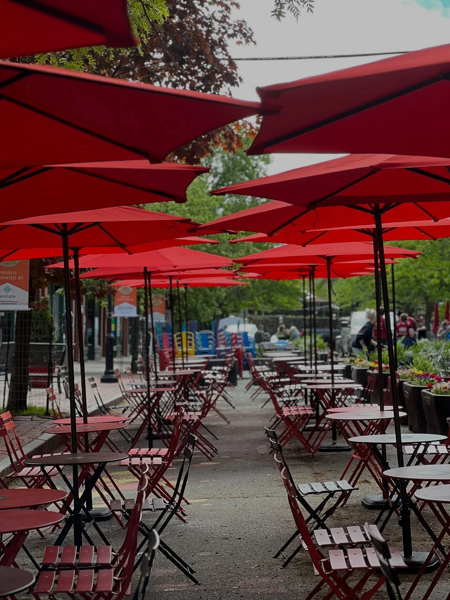 We are SO excited for Summer on Strong 2026!!! Stay tuned for more updates 🤩🤩🤩

#summeronstrong #northamptonma #westernmass