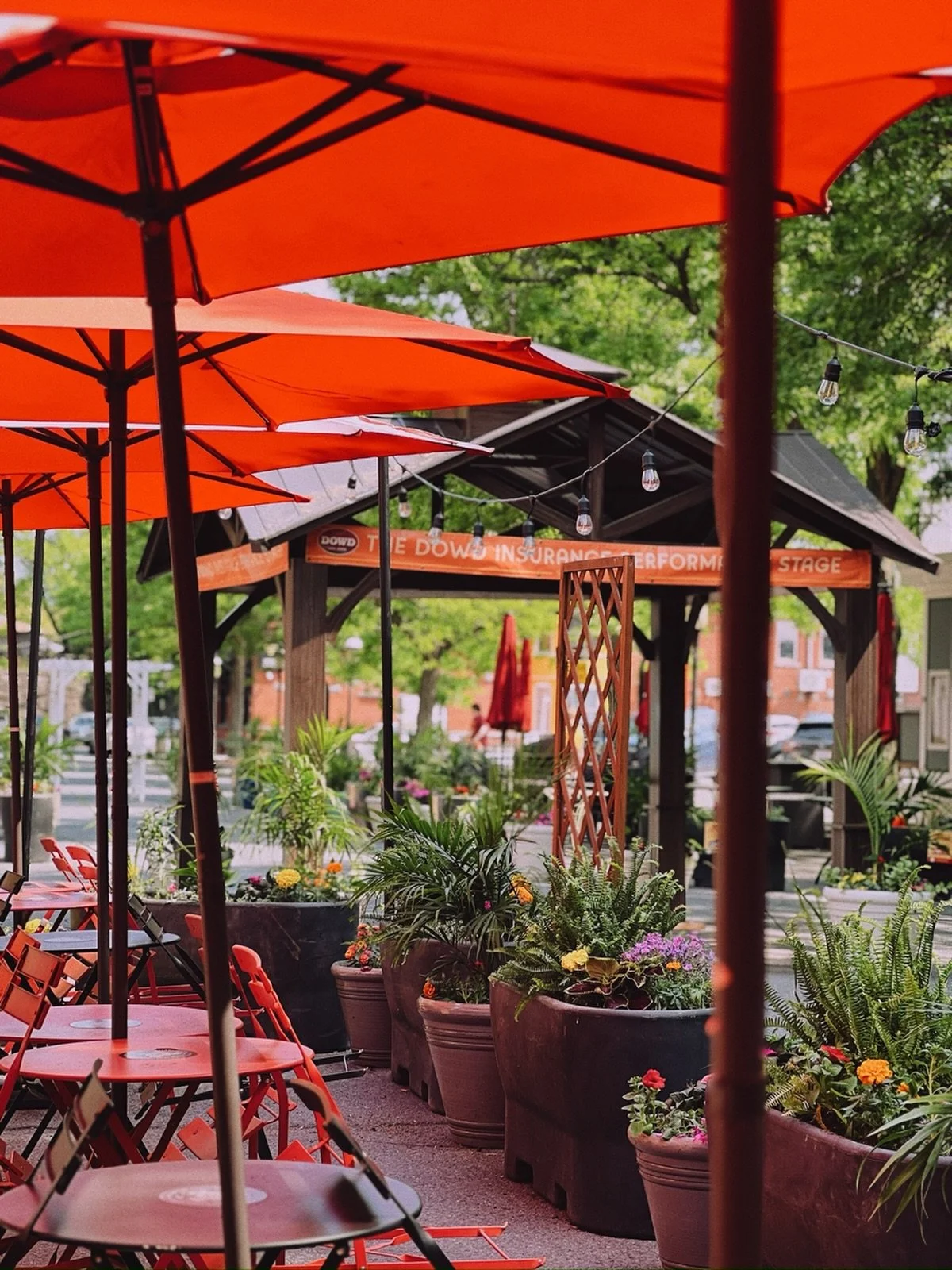 We can&rsquo;t wait to see everyone again and enjoy another season of Summer on Strong together!!
More details soon 🤩🤩🤩