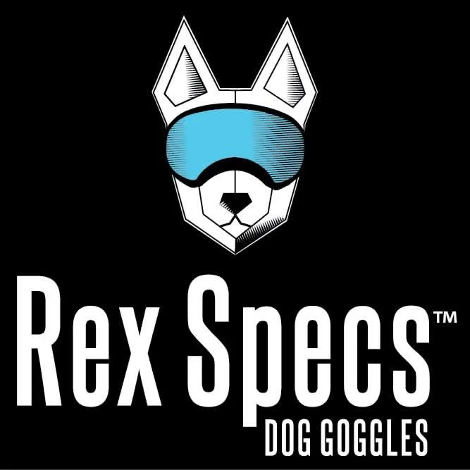 20260601_191639972_iOS.jpg