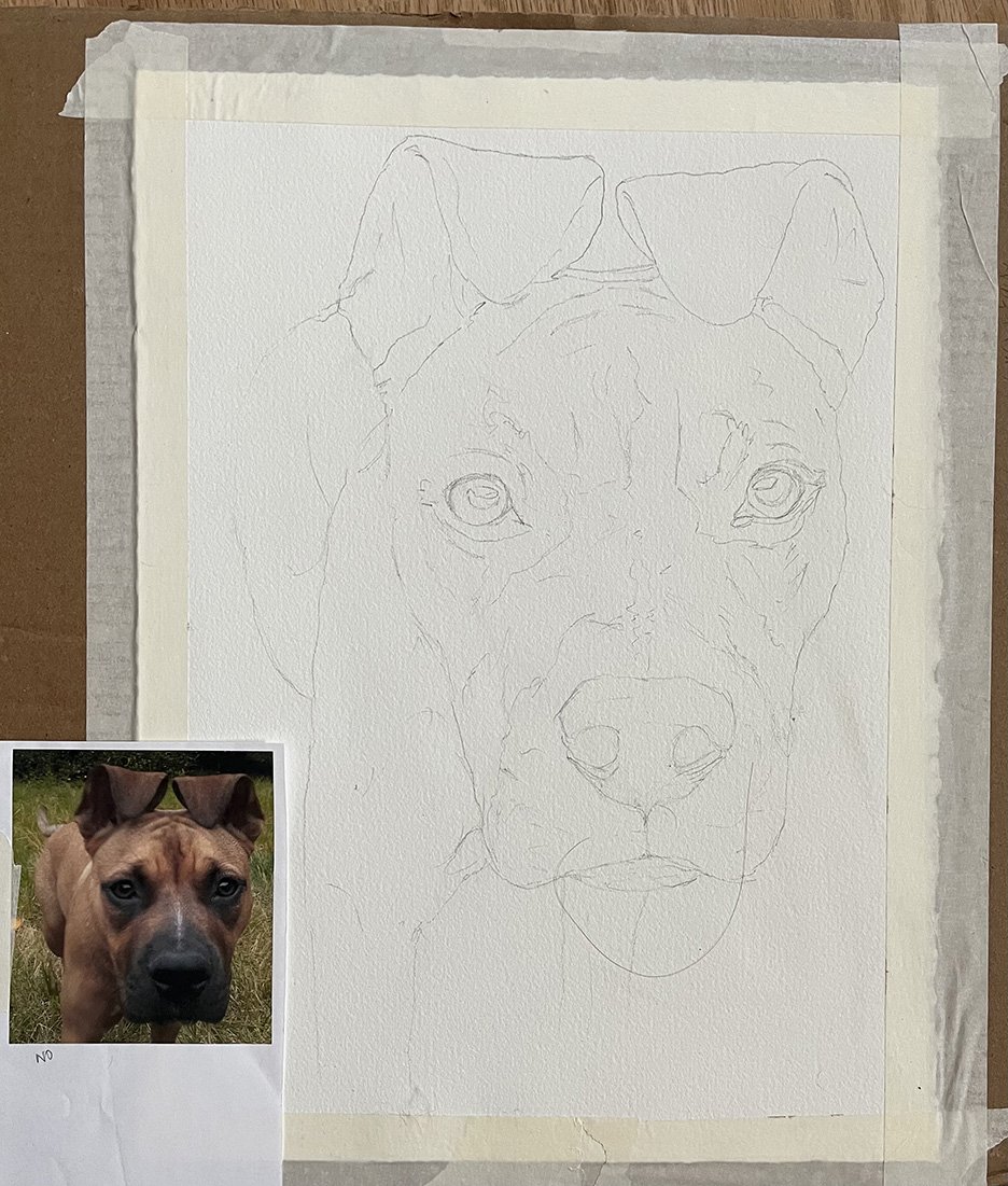 Dog sketch.jpeg