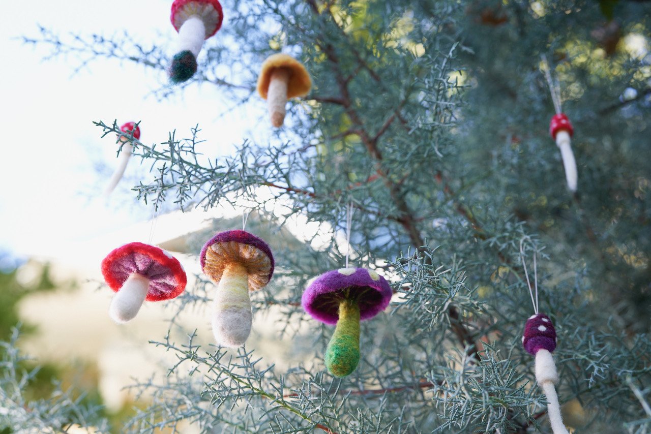 2021-09-24-penfelt-holiday-187-mushroom-selects-08.jpeg