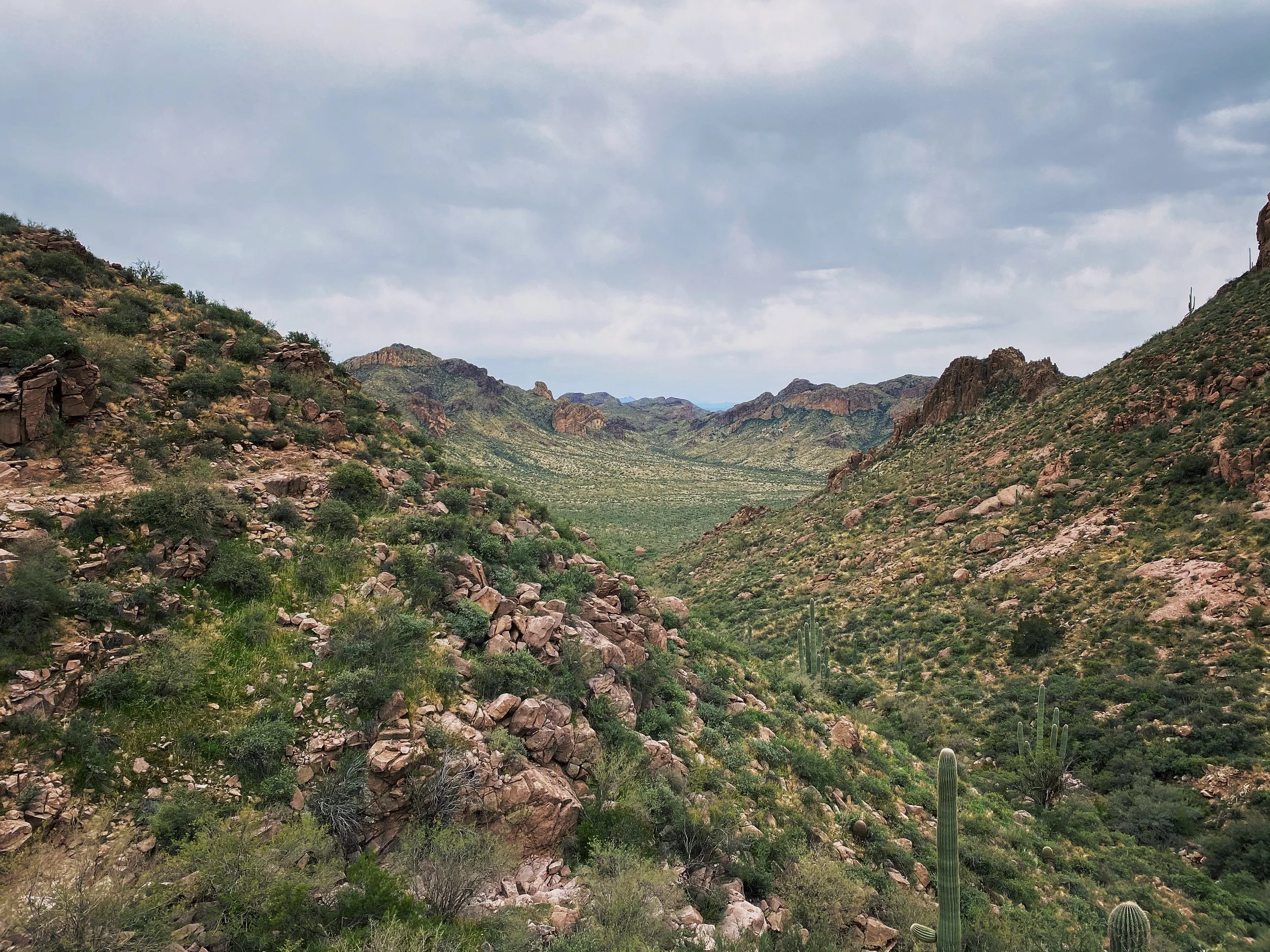 Dutchman Bluff Springs Loop