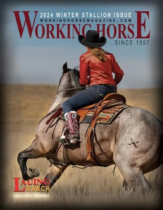 Bonny Blues' son Bay Roan Stallion, LR BONNYS UPER STAR AKA Badger! Pictured on the cover of The Working Horse Magazine with colt starter and rider Becky Amio.