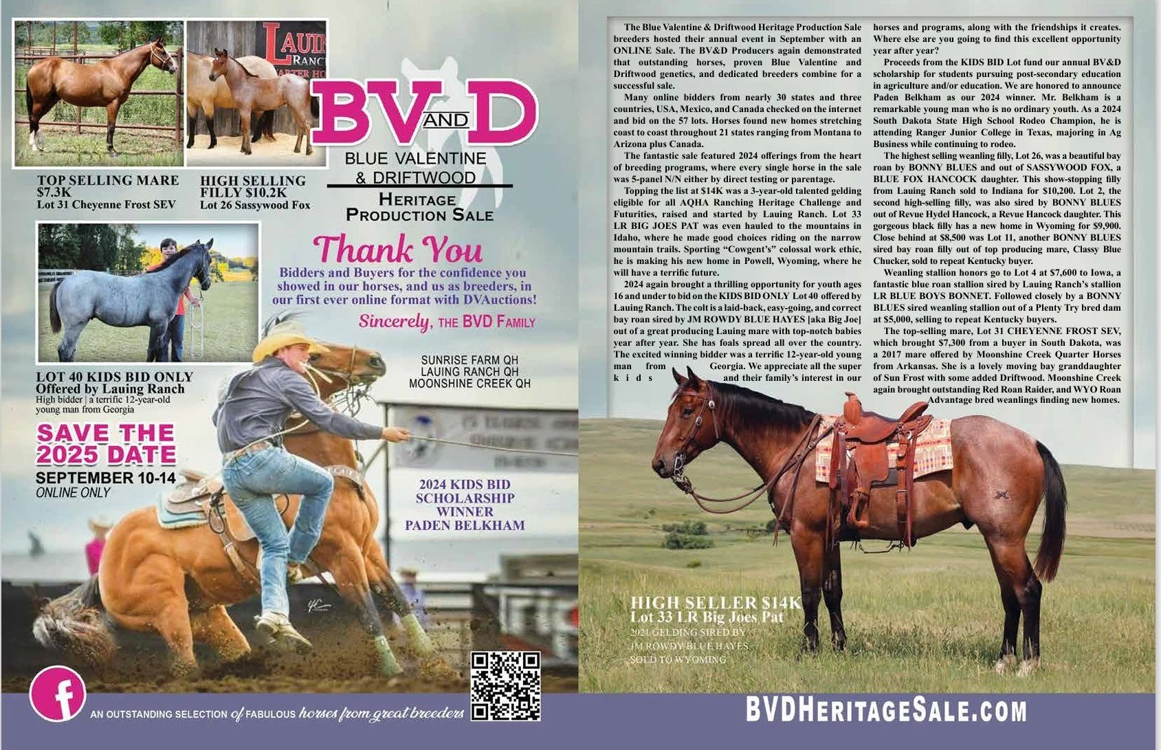2024 BV&D Sales Report The Working Horse Magazine Featuring Lot 33 LR BIG JOES PAT 2021 BAY ROAN GELDING from LAUING Ranch Quarter Horses sold to Wyoming.