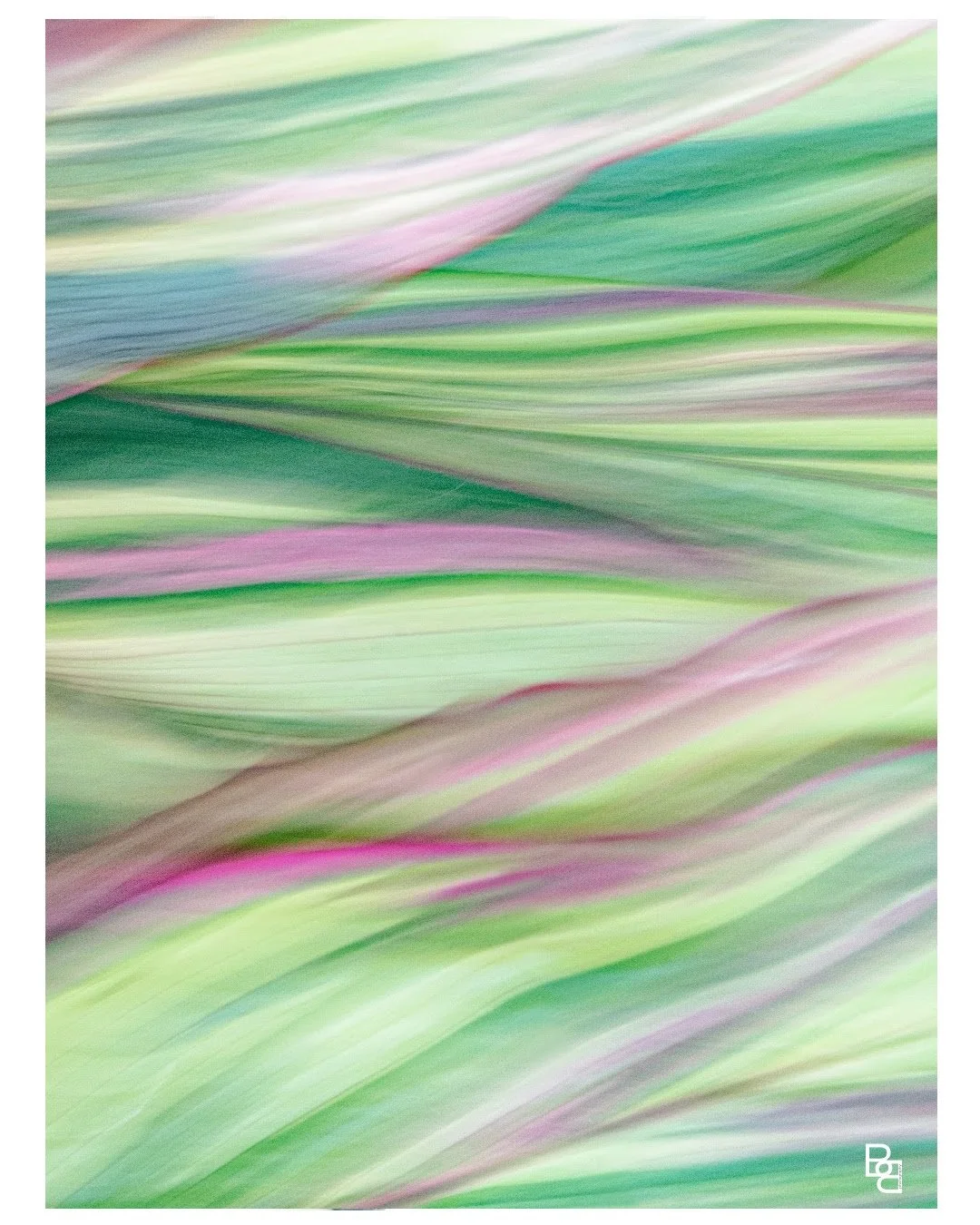 Leek Abstract Reveal Post 1 copy 4.jpg