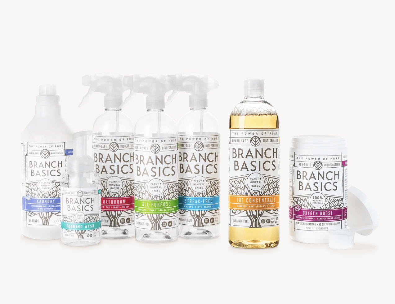 Branch Basics Starter Kit