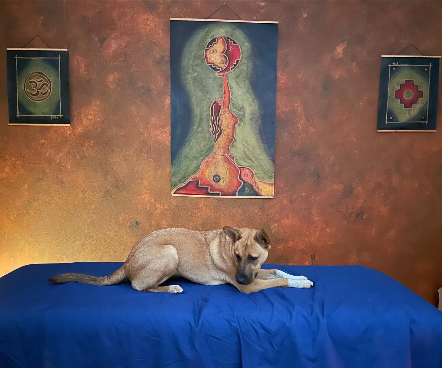 Ava thinks Hellerwork sessions should be rebranded as &ldquo;Heeler work&rdquo; sessions. Whatever you want to call them, sessions are offered in Mt Shasta, CA. Book yours today!