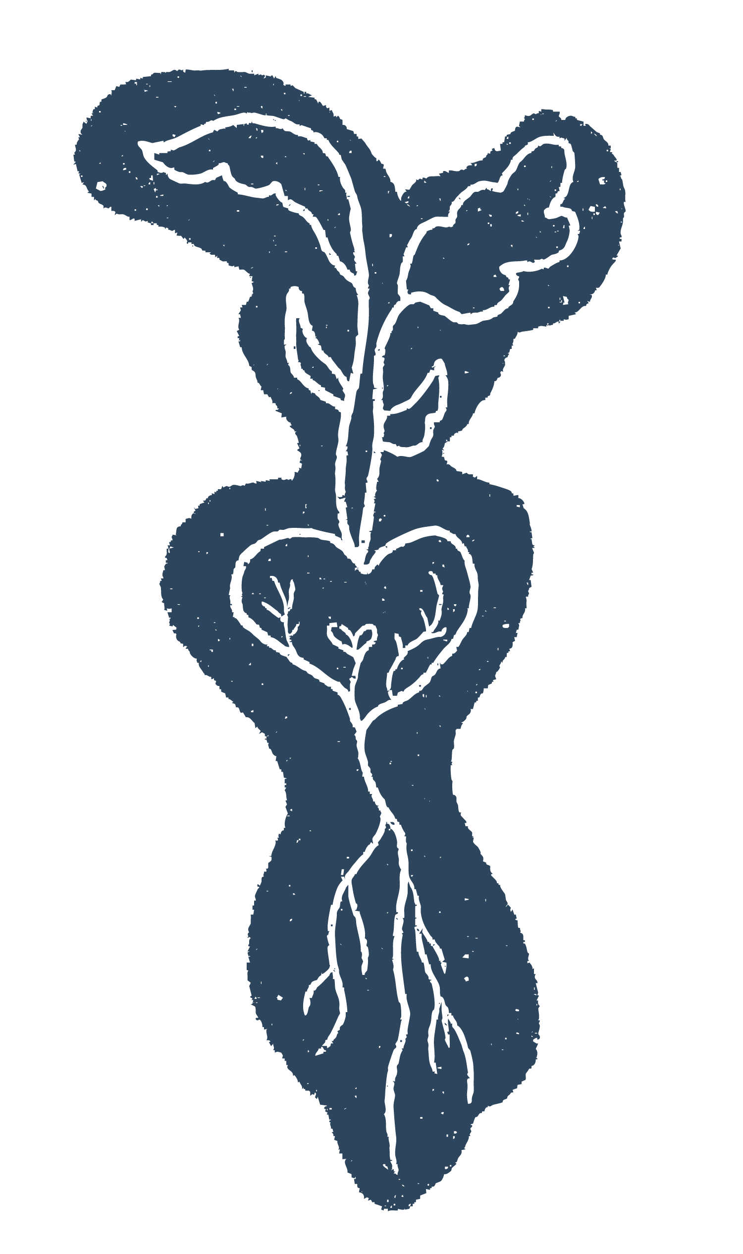A stylized drawing of a heart with a plant growing inside it, with leaves and roots extending upward and downward.