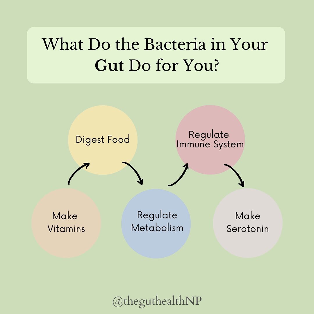 The trillions of bacteria living in your gut are SO important for many processes in the body. When the bacteria in your gut are off, we see issues with digestion, immune function, vitamin deficiencies, slow metabolism, and/or an uptick in anxiety/dep