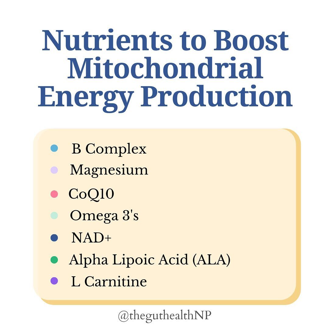 The mitochondria (aka the powerhouse of the cell) is the energy factory inside all of our cells. If these mitochondria aren&rsquo;t working properly, we experience fatigue, brain fog, slowed metabolism, and accelerated aging. There are many things th