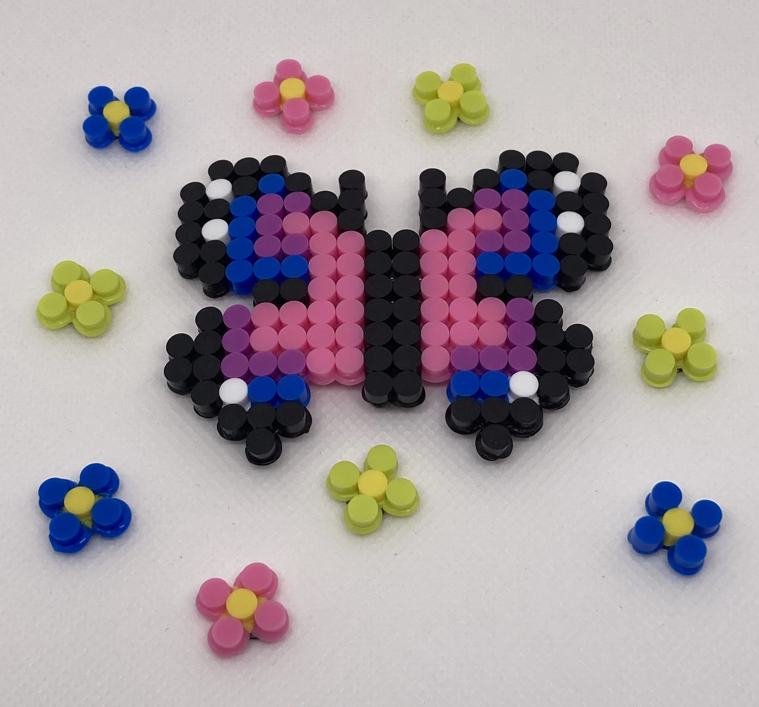 Butterfly Garden  Magnet Set  -multicolor