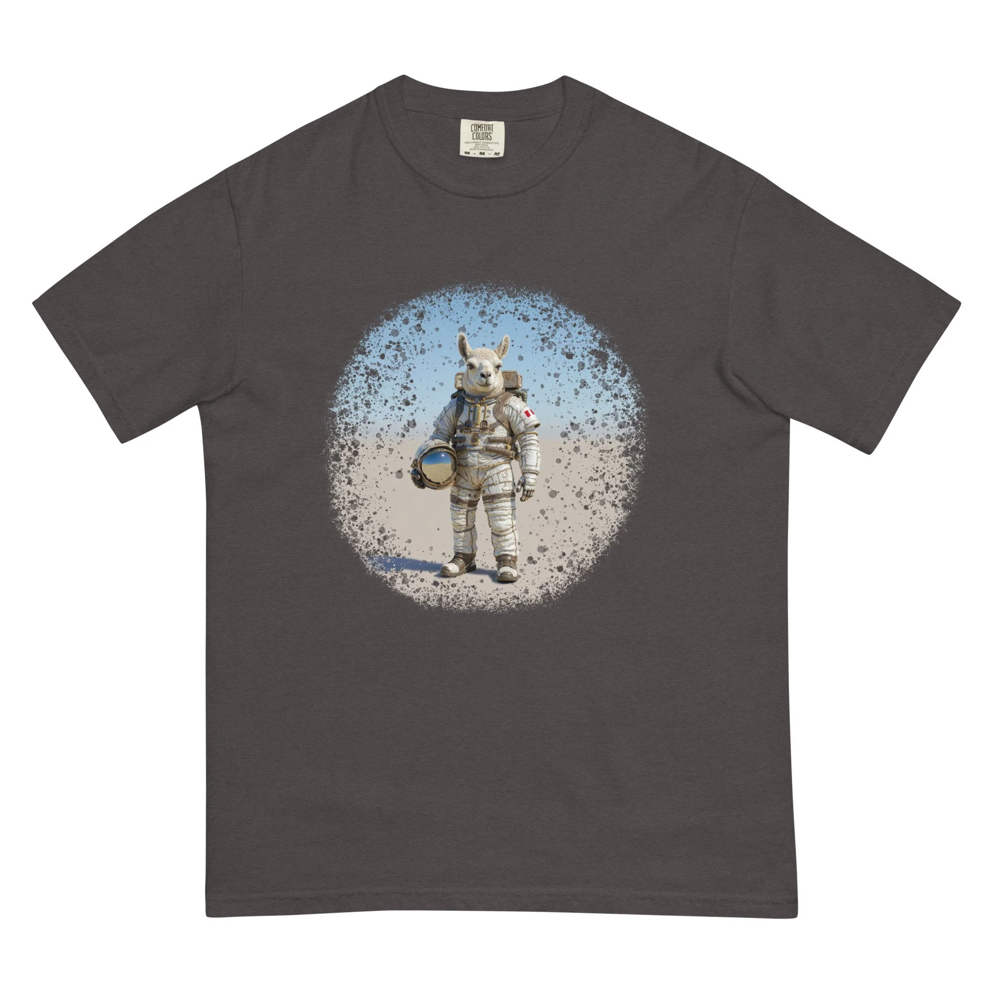 unisex-garment-dyed-heavyweight-t-shirt-graphite-front-69419c66cc4be.jpg