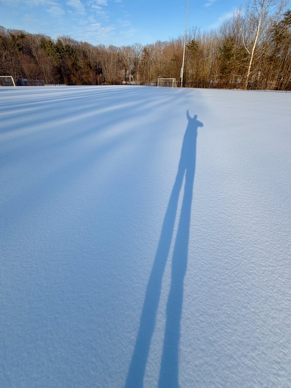 man's shadow on snow covered soccer field