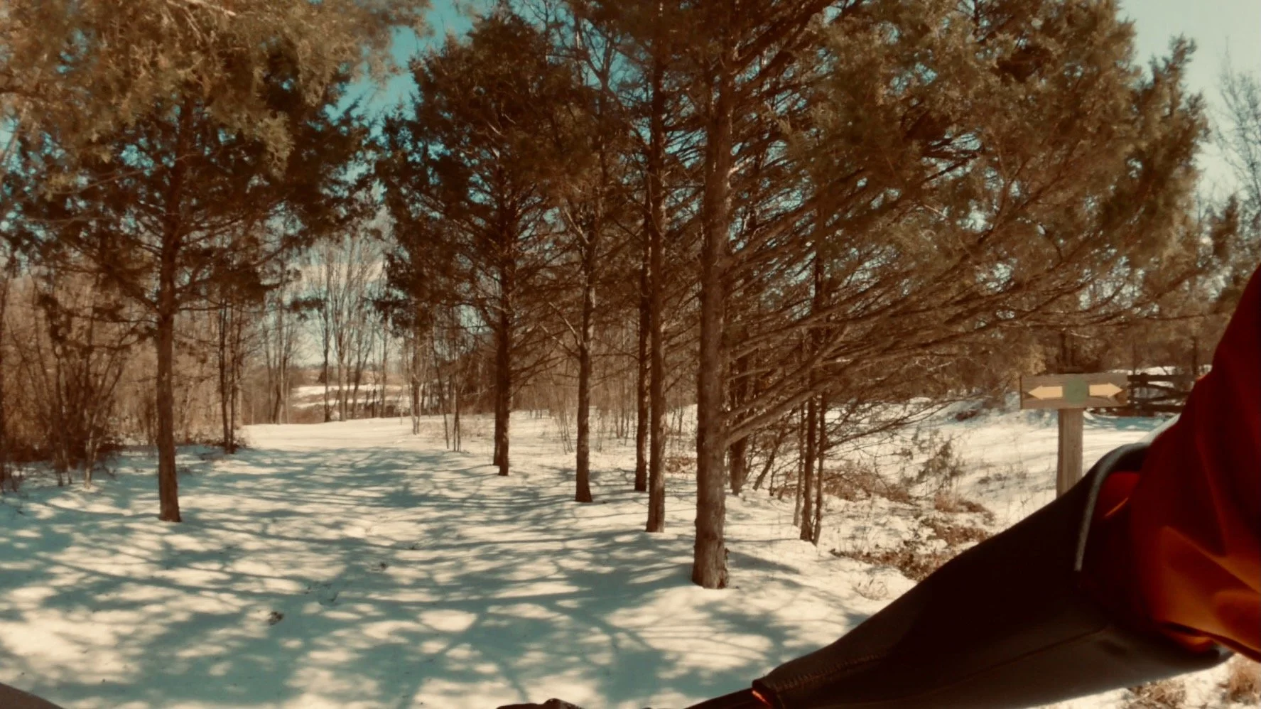 Snow-covered singletrack at Laurel Hill Park, framed by pine trees and long winter shadows during a cold-weather ride in Northern Virginia.