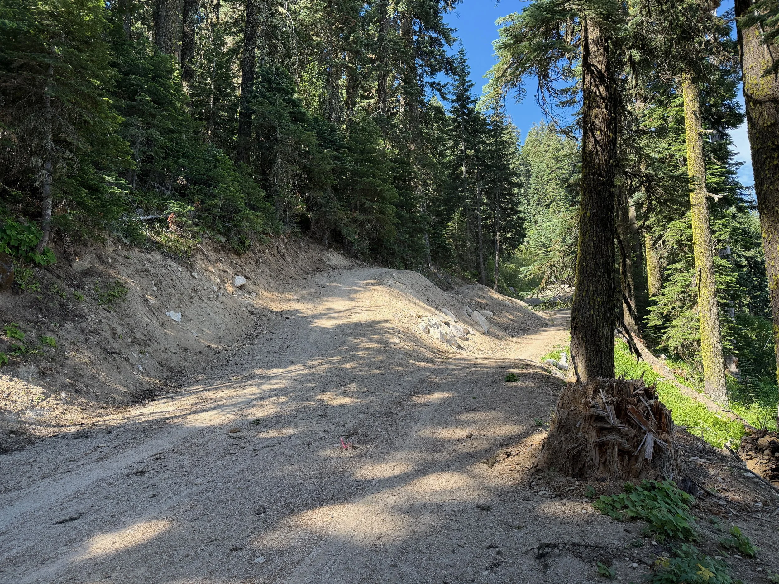 Mountain bike jumps along Upper Bull Gap, Ashalnd, OR