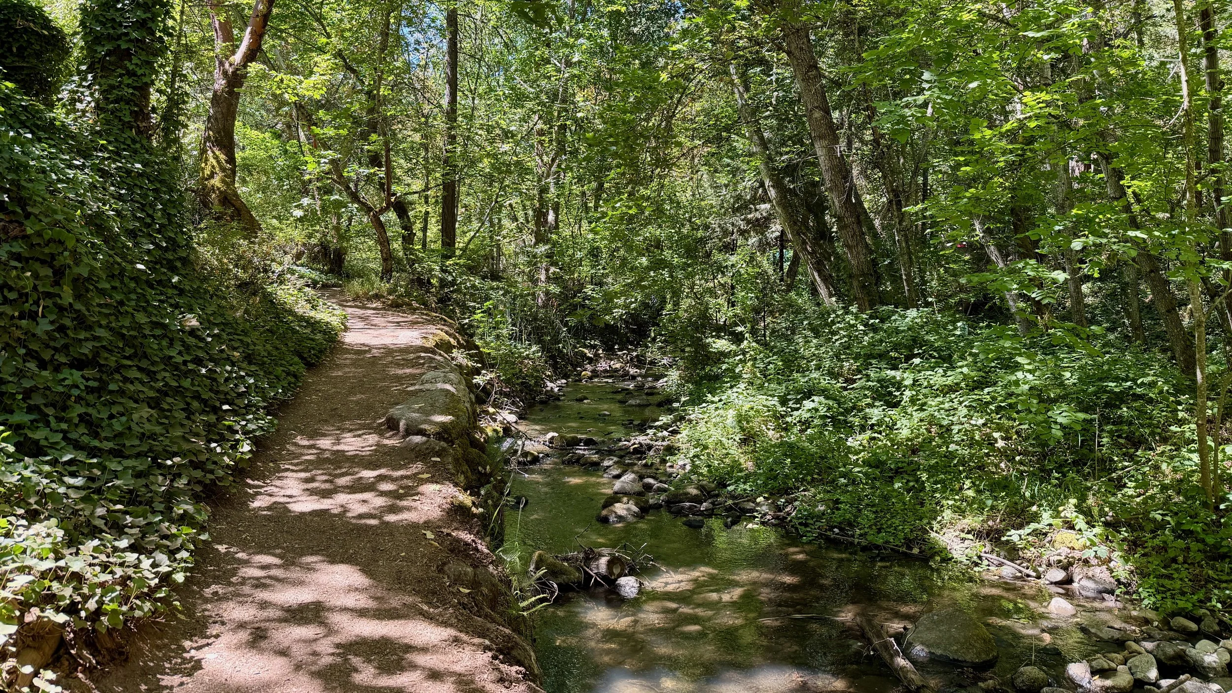 Dirt path along Ashland Creek in Lithia Park, Ashland, OR