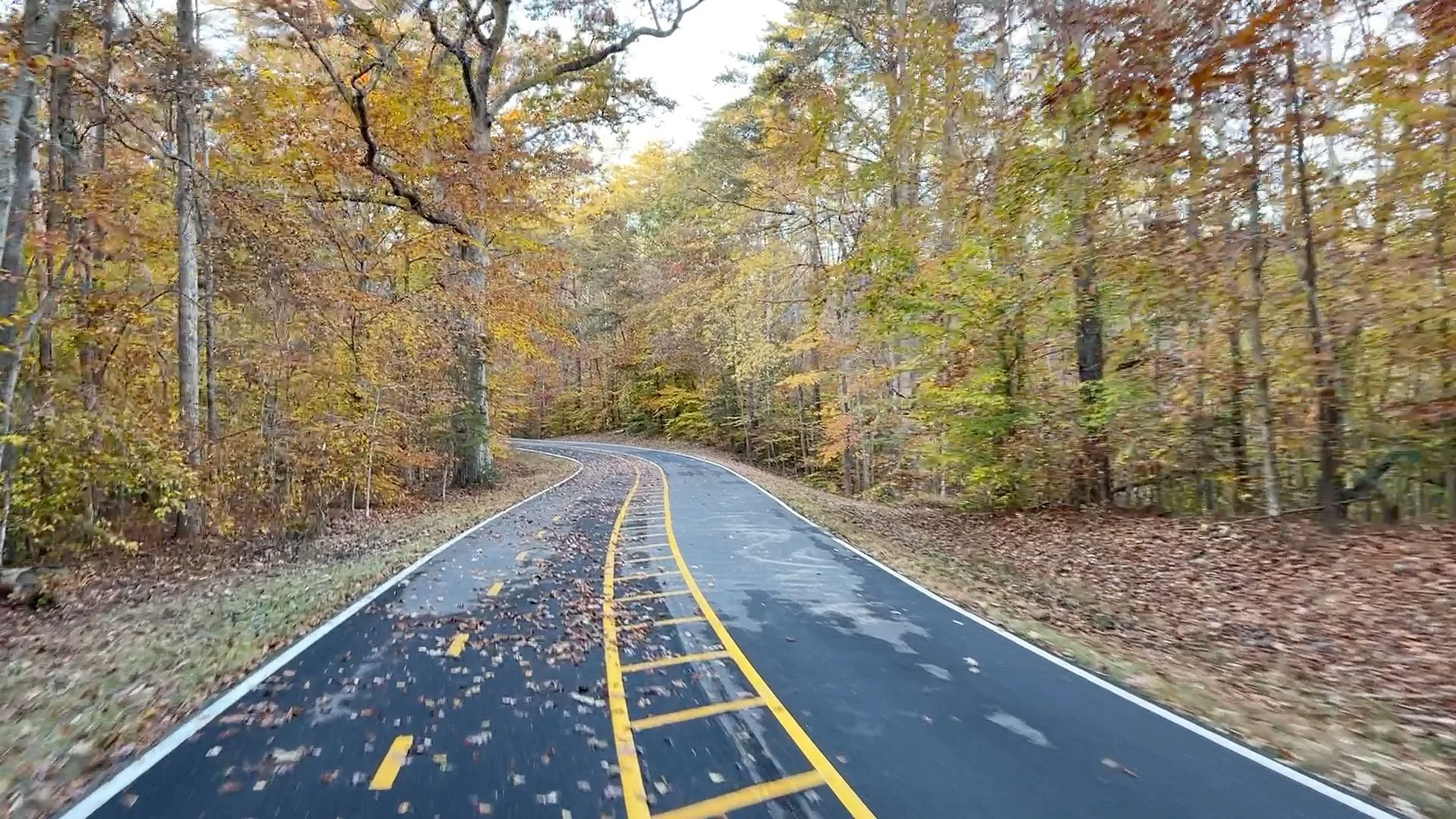 Too Wet for Dirt: Where to Ride Around DC After Heavy Rain