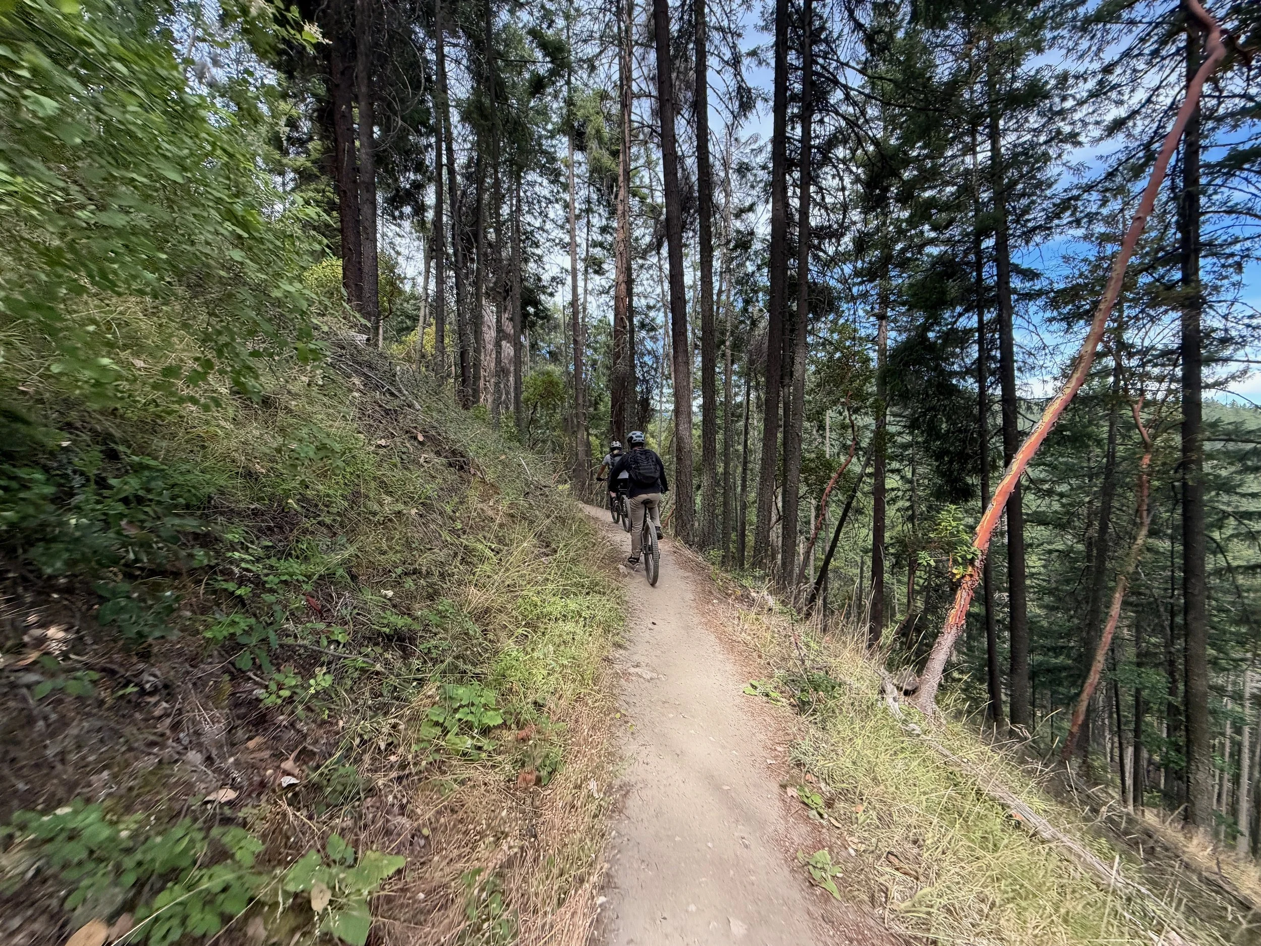 mountain biker on narrow singletrack trail