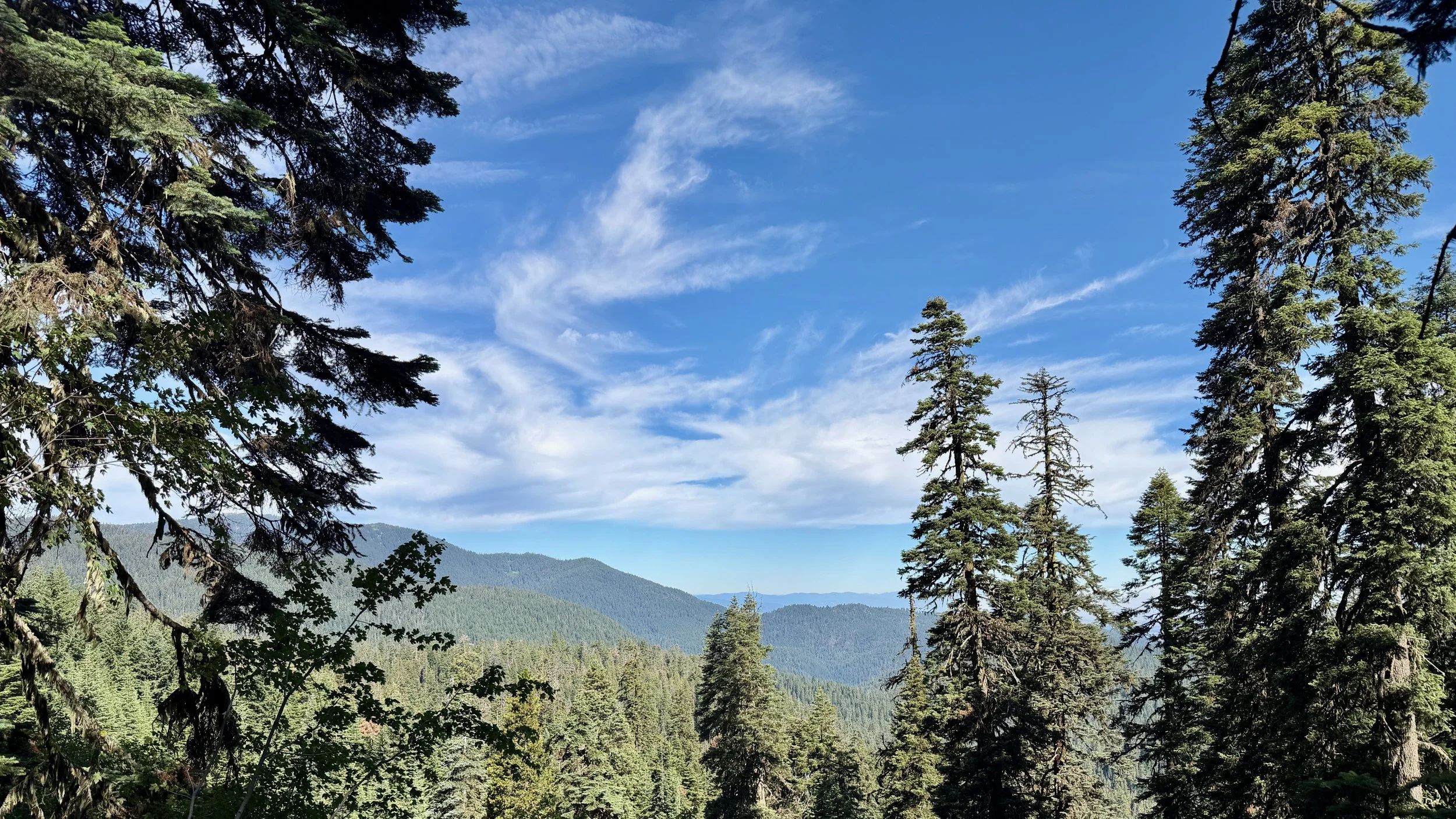 View from atop Mt. Ashland