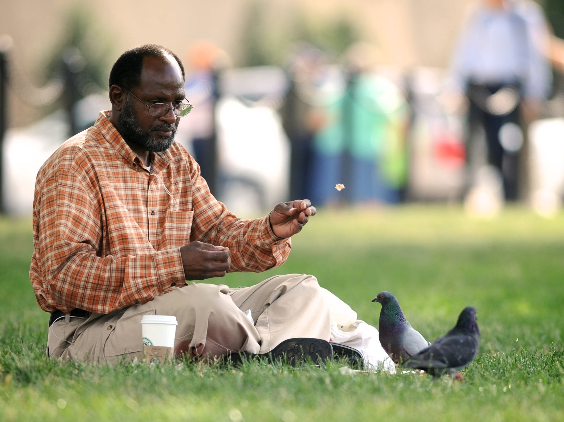 A man feeds pigeons on the national mall