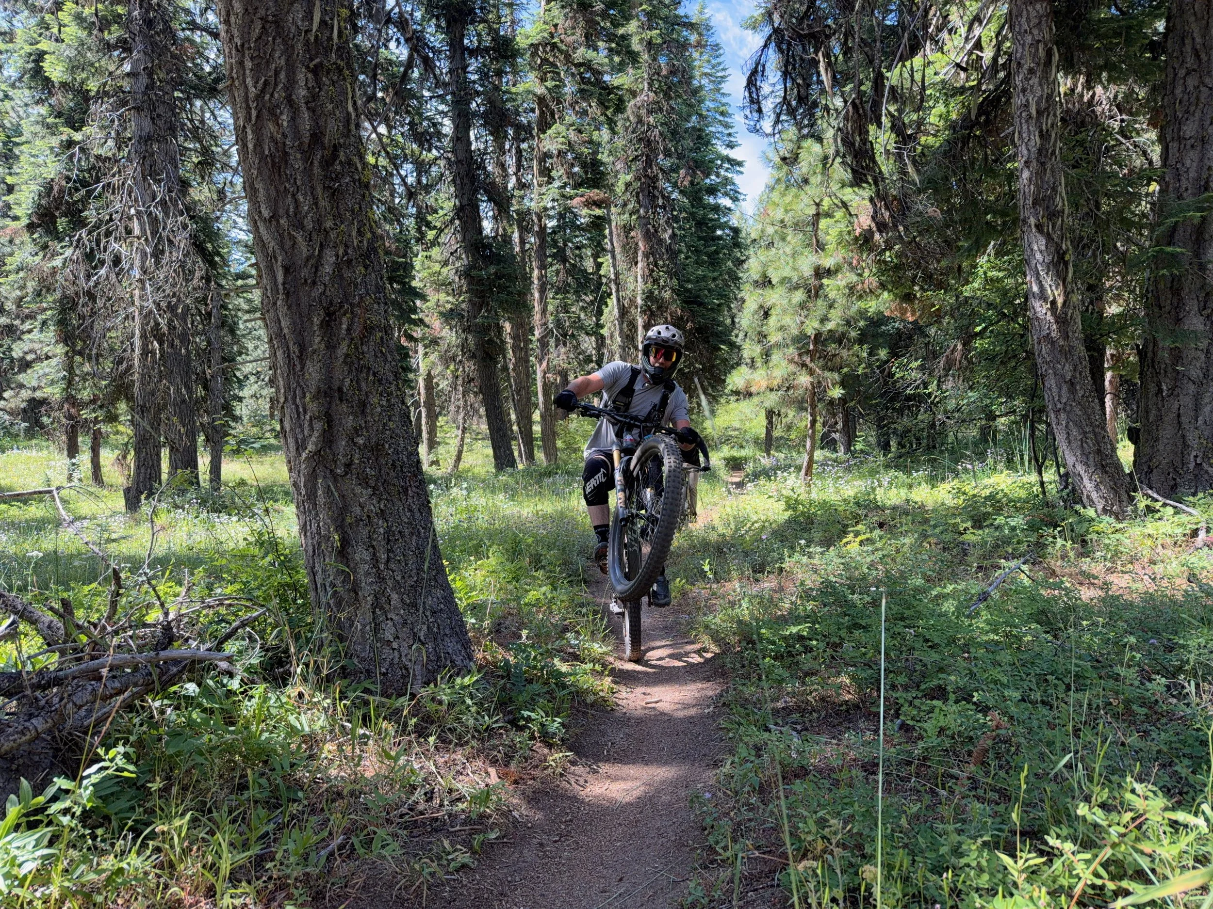 Mountain biker performing a wheelie on a singletrack trail