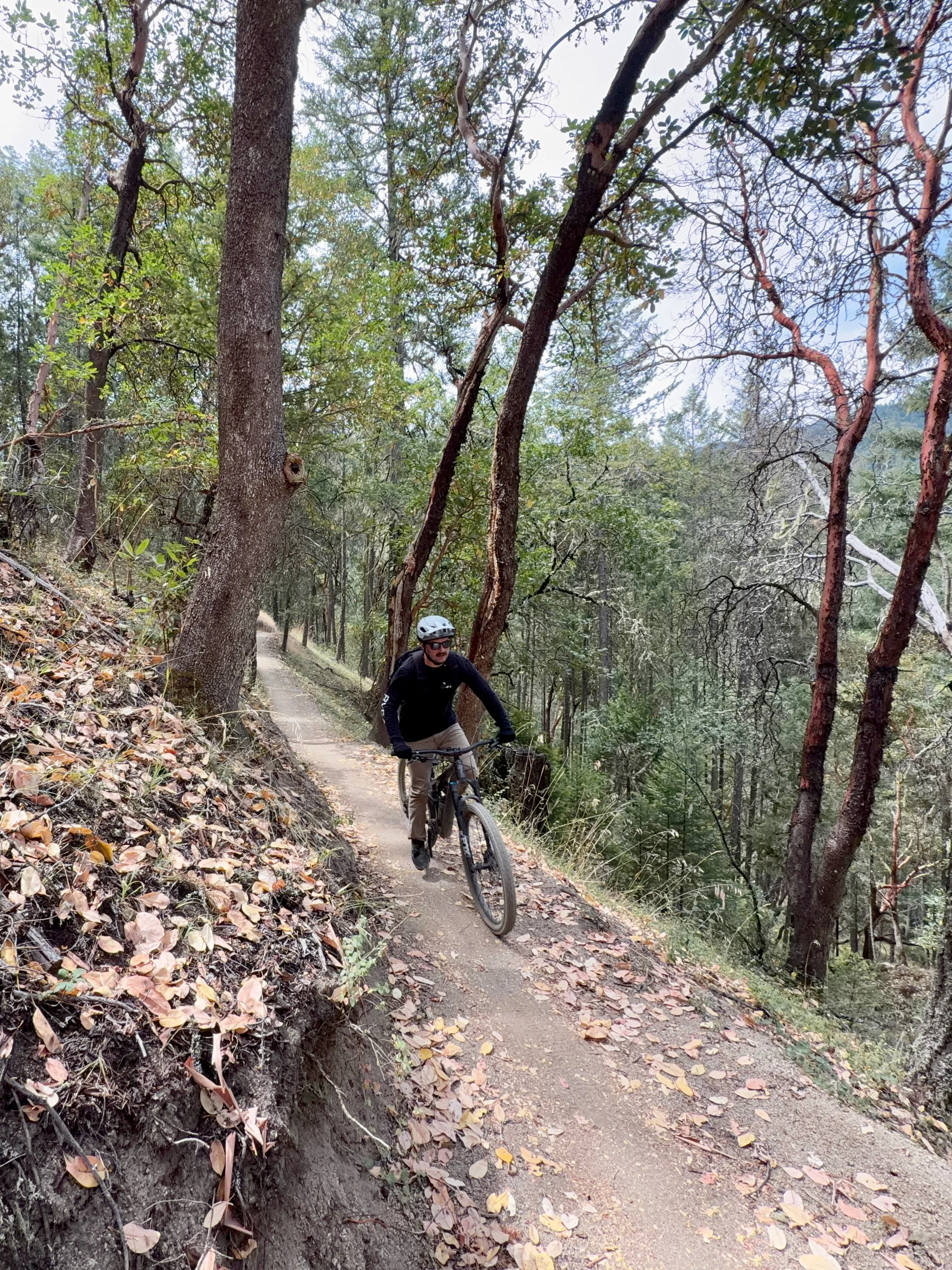 Mountain biker on singletrack trail