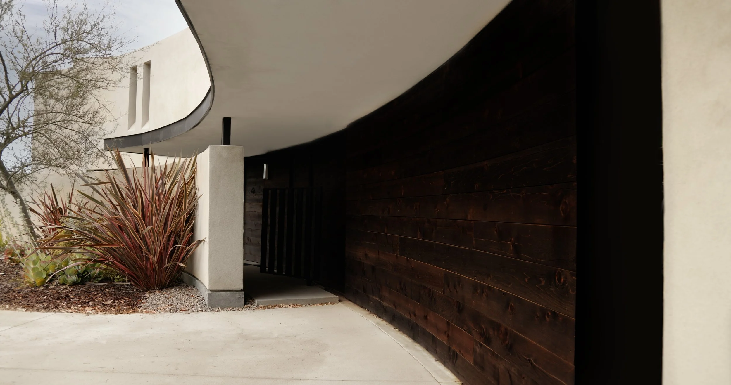 SAUNDER.FRONT copy.jpg