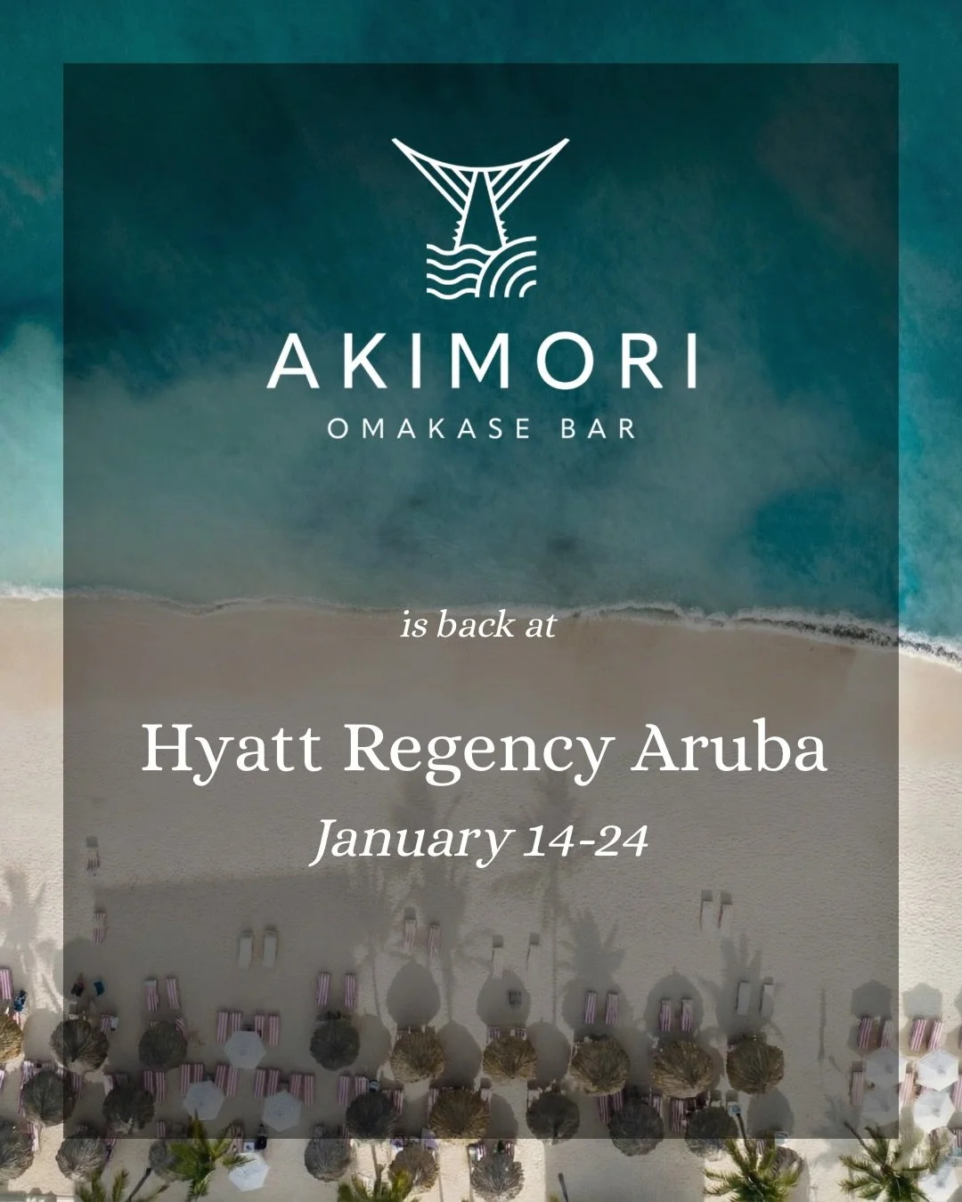 Akimori is coming back to Aruba! 
From January 14-24 Akimori will be at the Hyatt Regency Aruba. Available to both guests of the hotel and guests of other hotels. 
Lunch 
📍Palms Bar - Walk in only
📍Pier Bar - Walk in only
Dinner
📍Alfresco Bar - Wa
