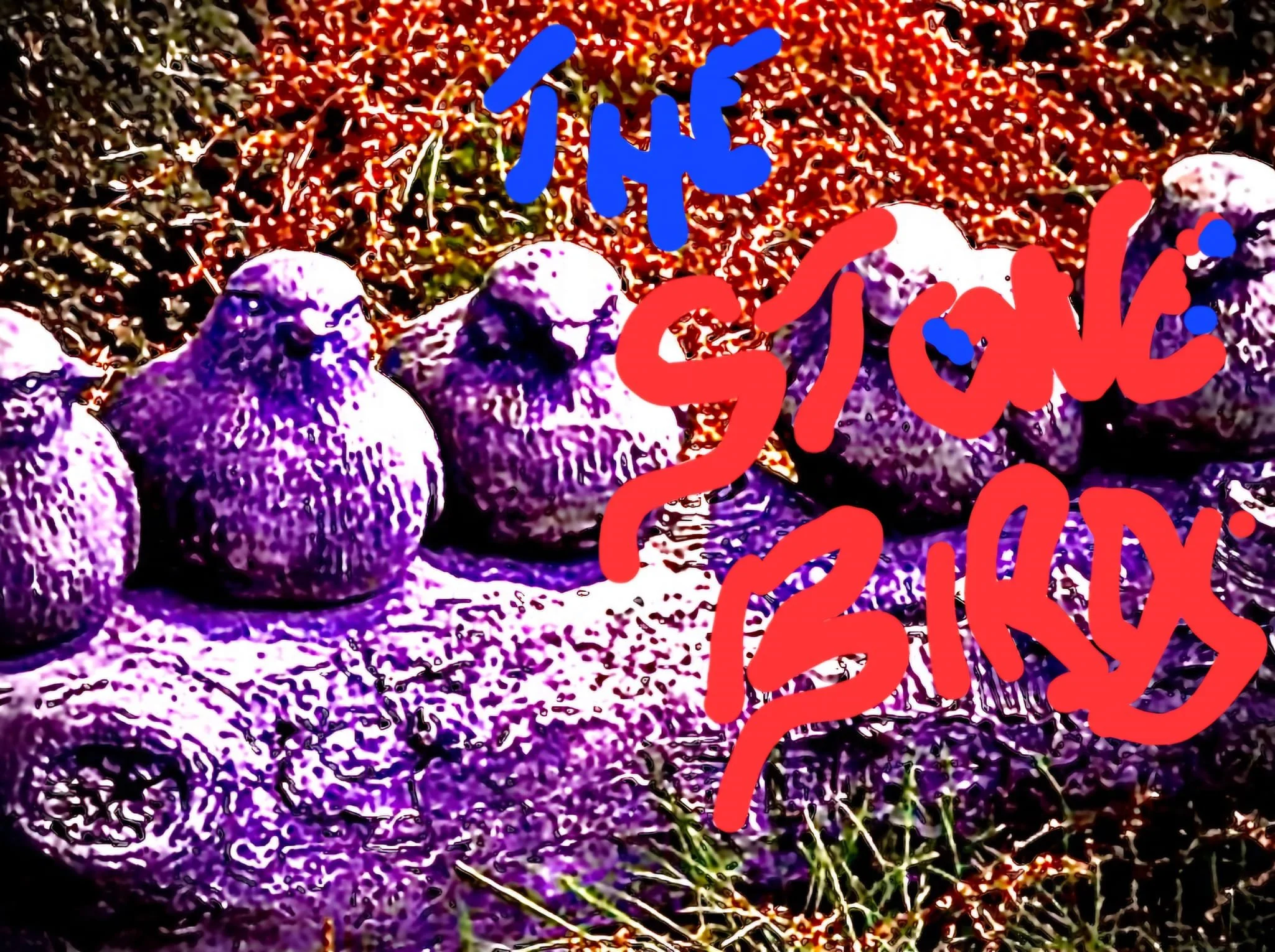 The Stone Birds Band