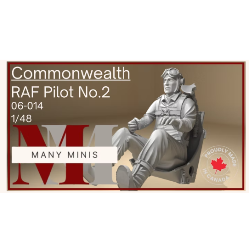 Many-Minis-Commonwealth-RAF-Pilot-148-No.2-06-014.png