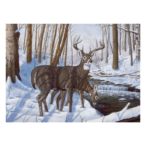 Adult Painting By Numbers, Large - Winter Bliss LAN-PAL43
