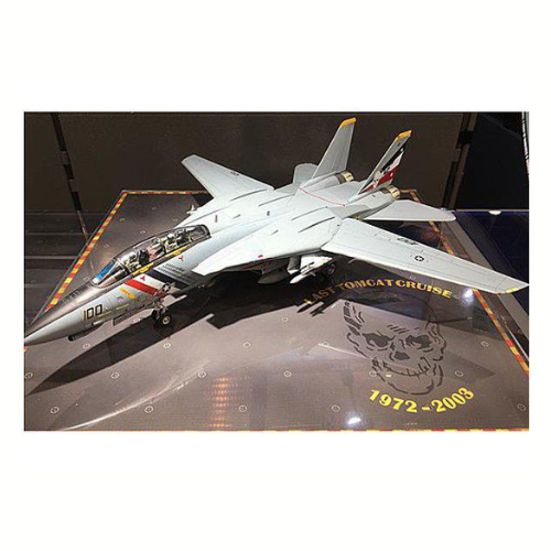 F-14D Tomcat 1/48 TAM 61118