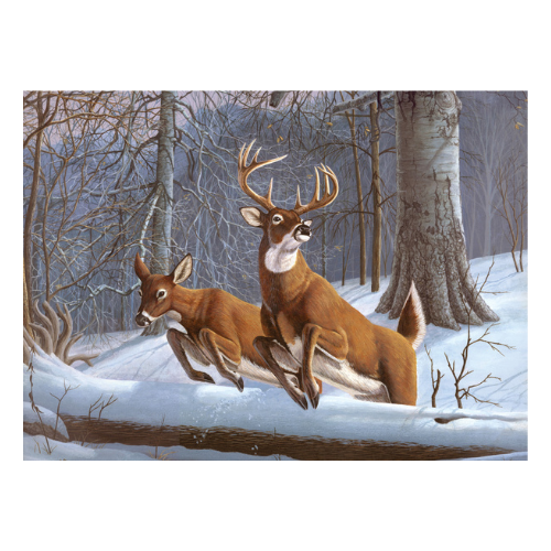 Adult Painting By Numbers, Large - White Tails LAN-PAL34