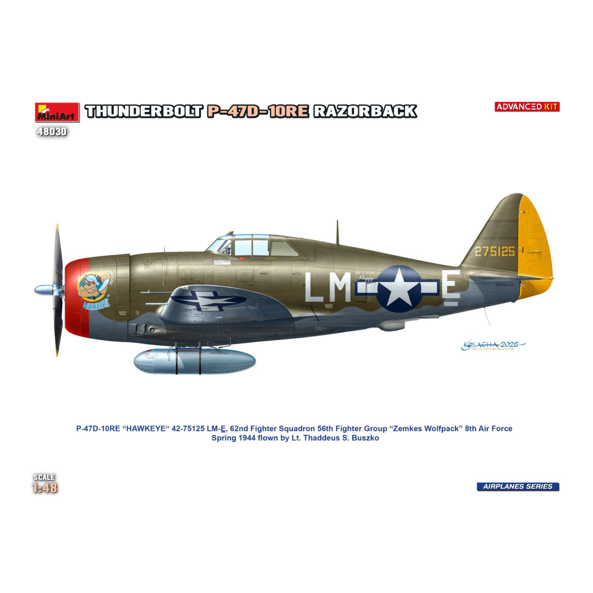 P-47D-10RE-Thunderbolt-Advanced-Kit-148-MIART-48030 (4).png