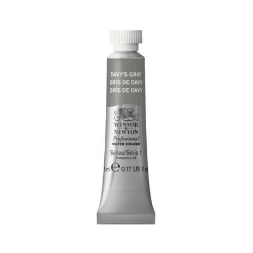 Winsor-Newton-Professional-Watercolour-5ml-Davy's-Gray.png