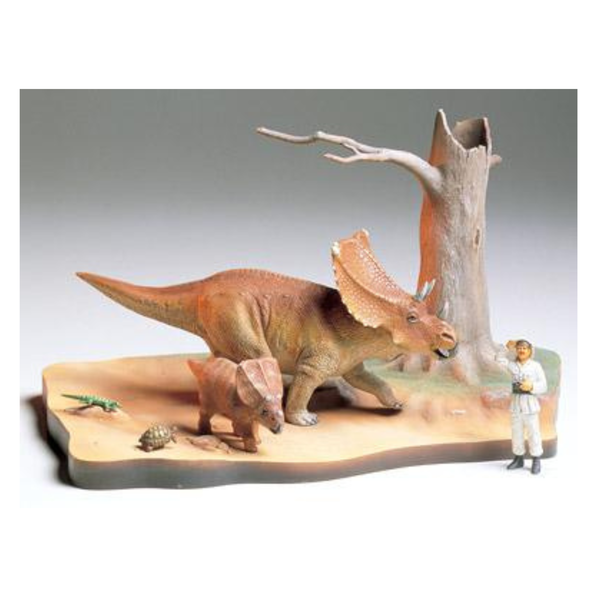 _Chasmosaurus-Diorama-Set-135-TAM-60101.png