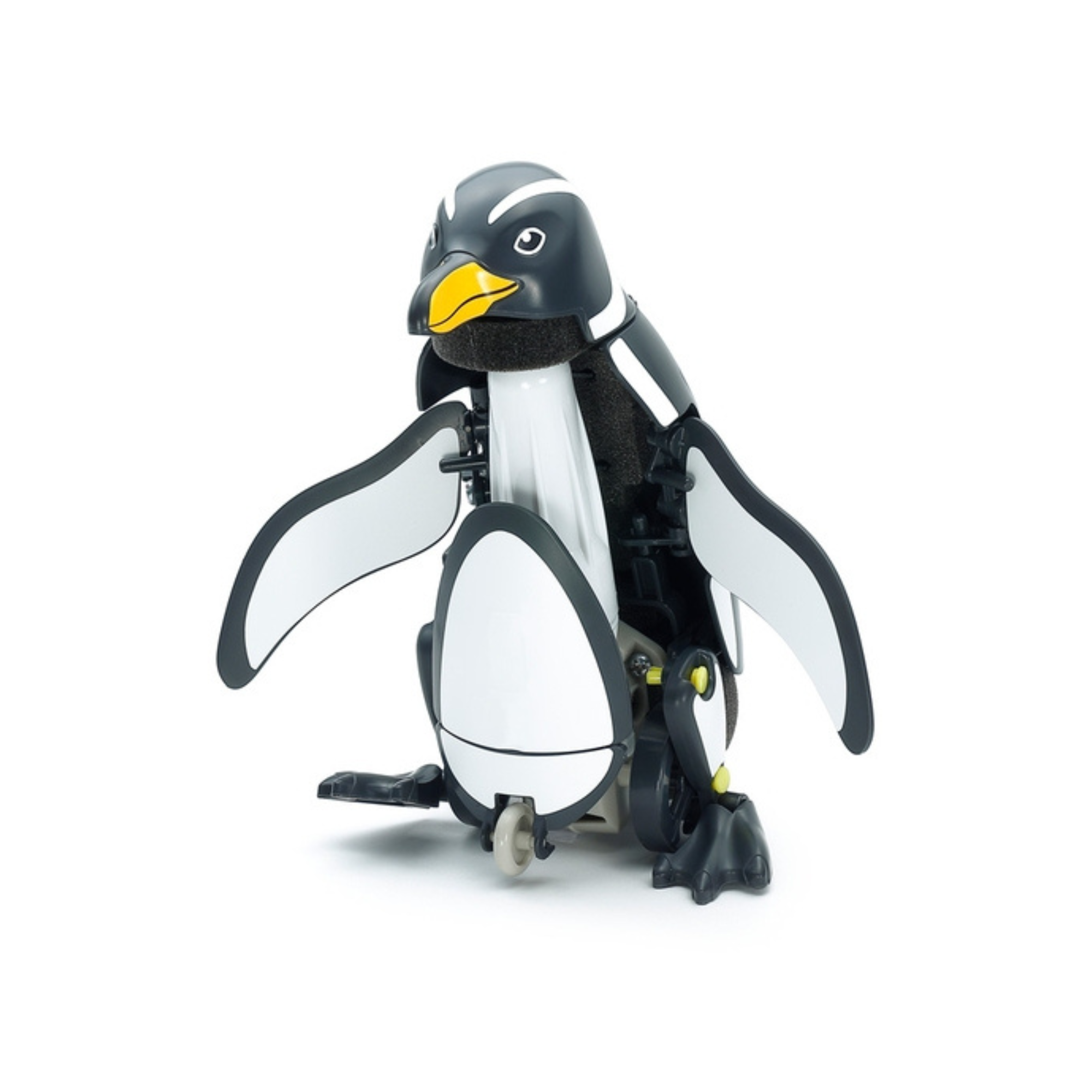 WALKING-and-SWIMMING-penguin-TAM-70259  (1).png