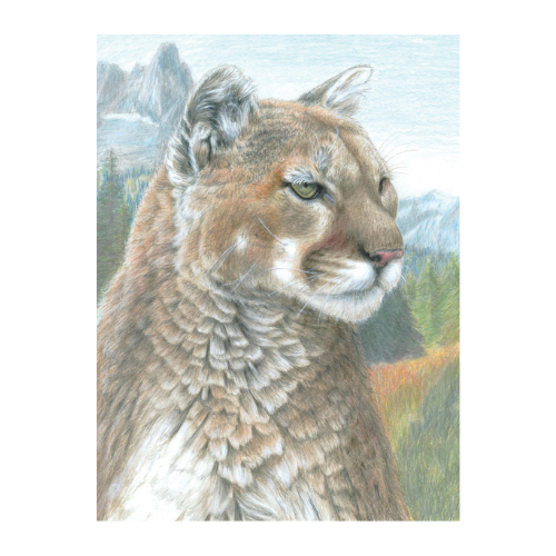 Colour Pencil By Numbers, Cougar LAN-CPN17