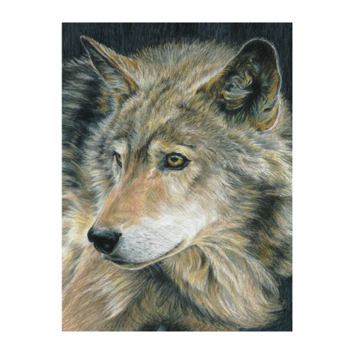 Colour Pencil By Numbers, Curious Eyes LAN-CPN18