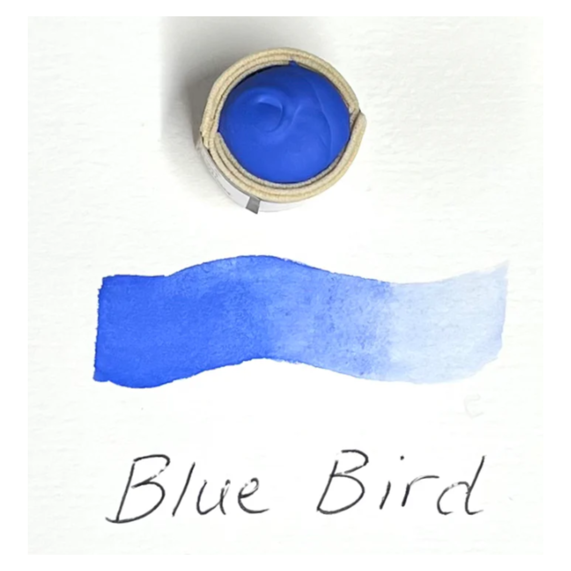 Beam-Painstones-Blue-bird.png
