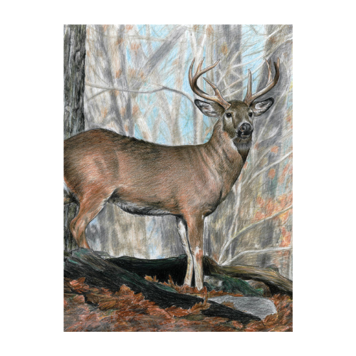 Colour Pencil By Numbers, Whitetail Buck LAN-CPN21