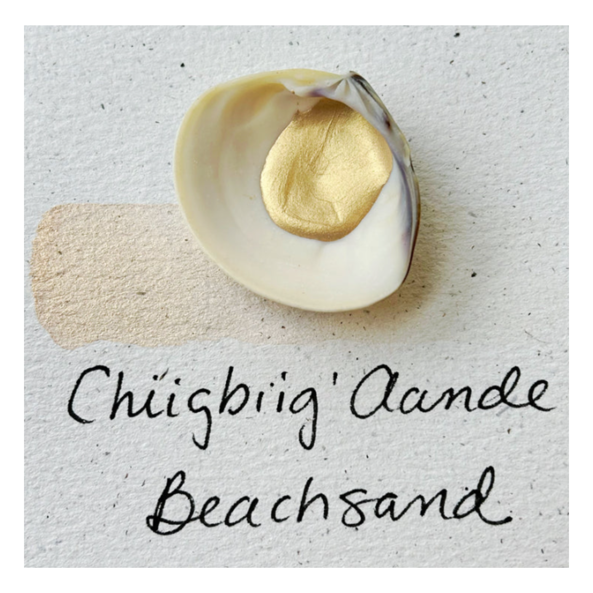 BEAM-Shells-Beach-Sand.png