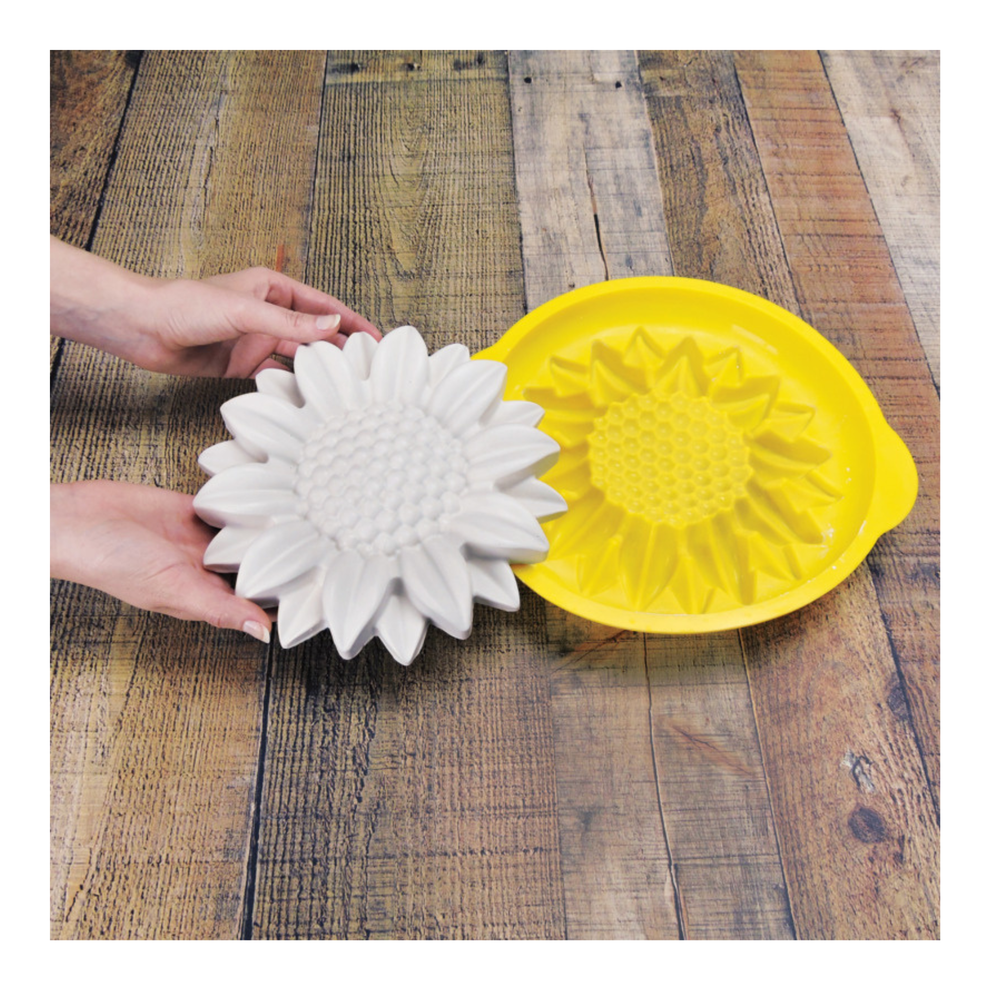 ArtPlaster-Professional-Casting-Plaster-5-lb-Activa-ACT-225 (3).png