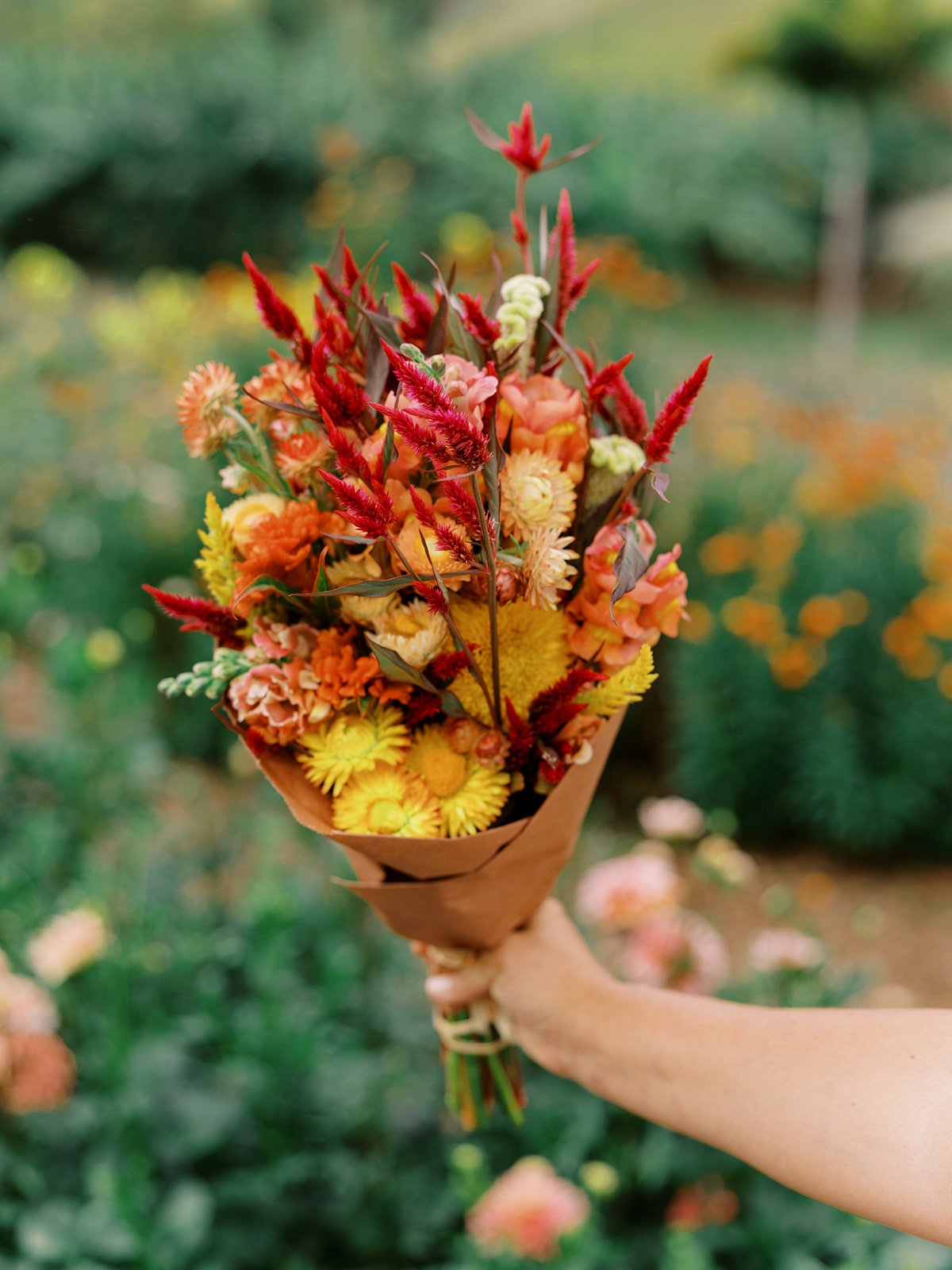 Farm Fresh Bouquet for Pickup