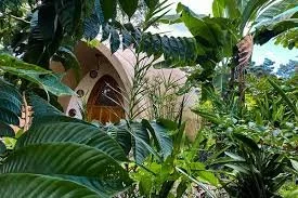 Costa Rica 2026: Elemental Ritual Immersion