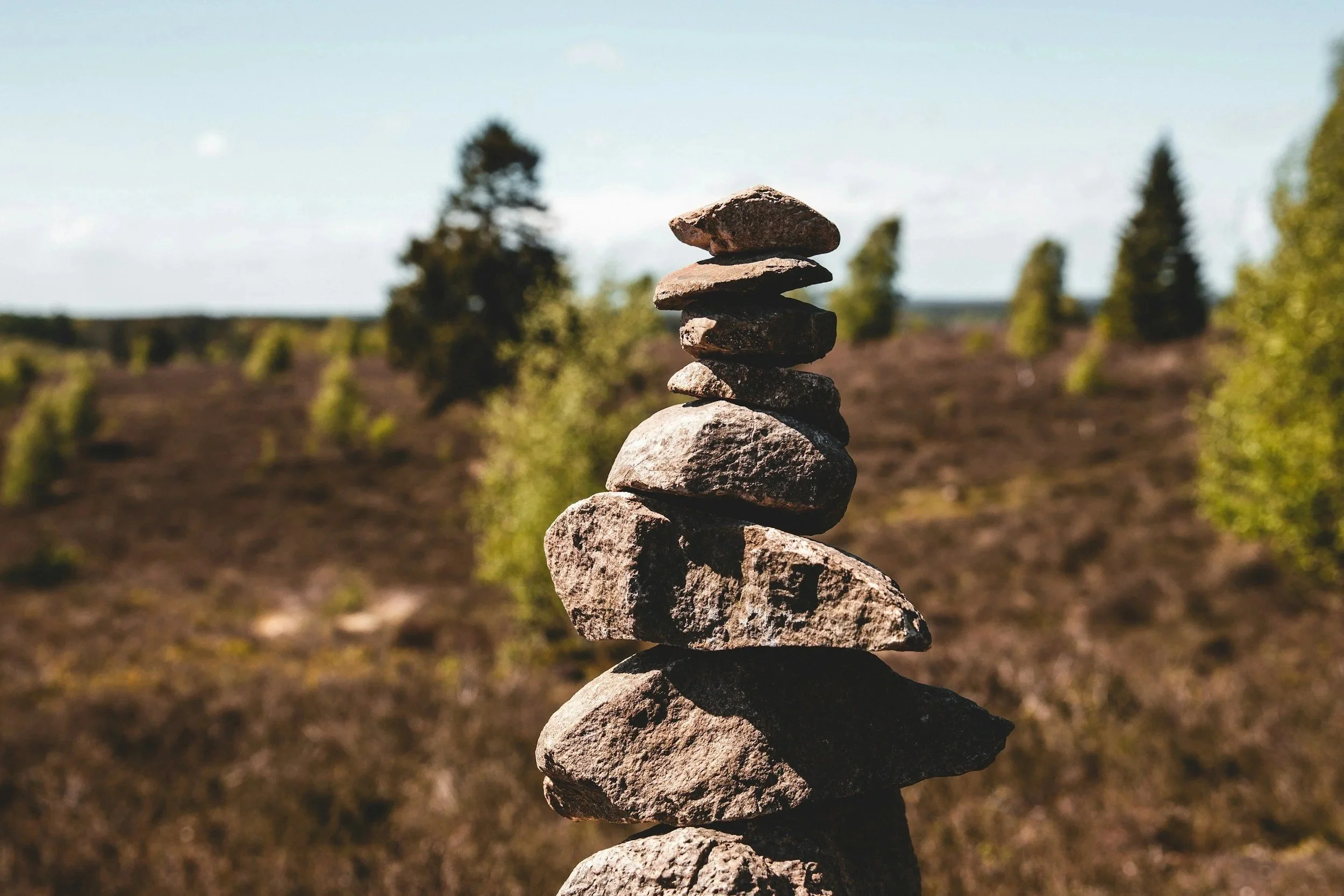 Ancestral Healing Support Circle 
