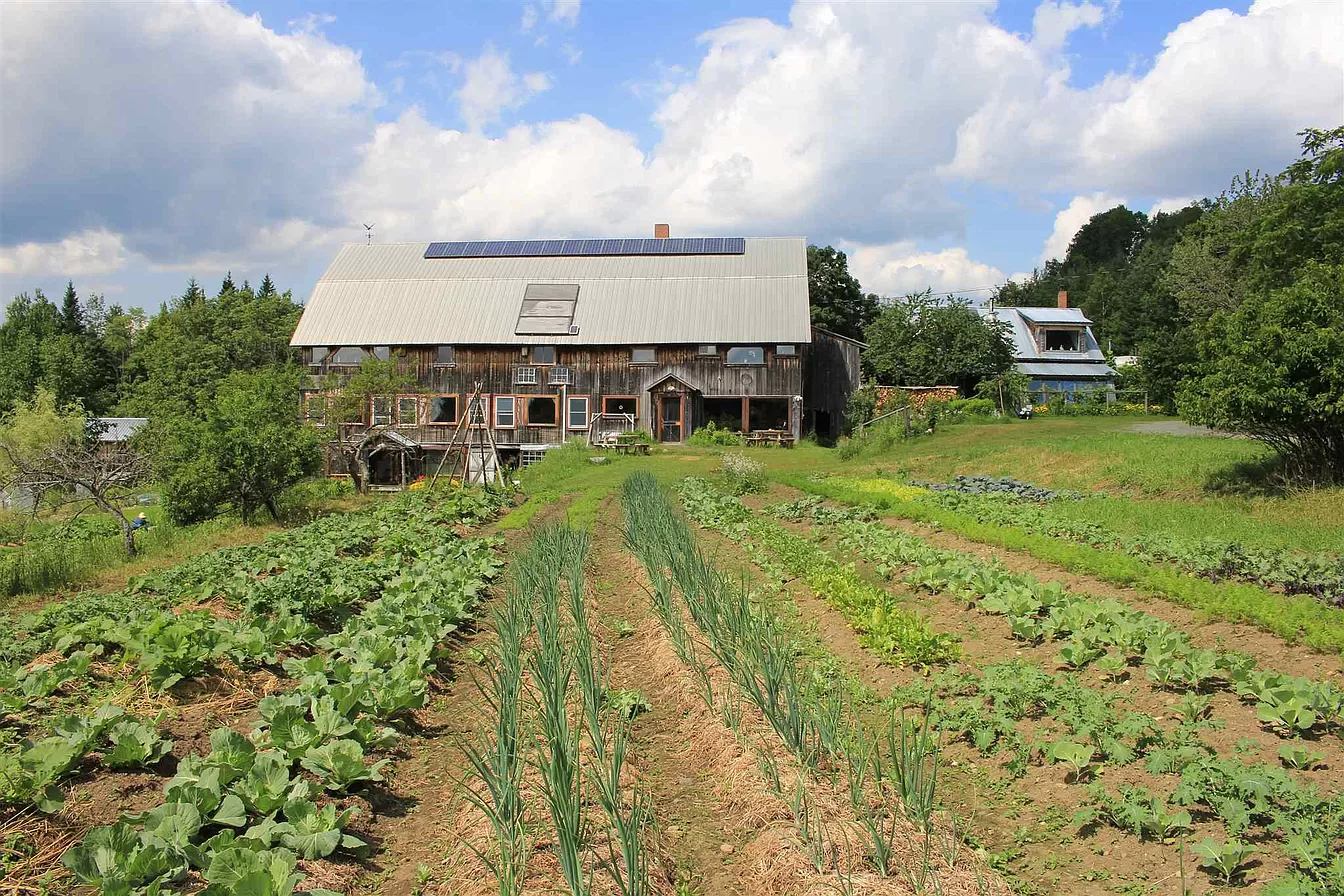 Vermont garden.png