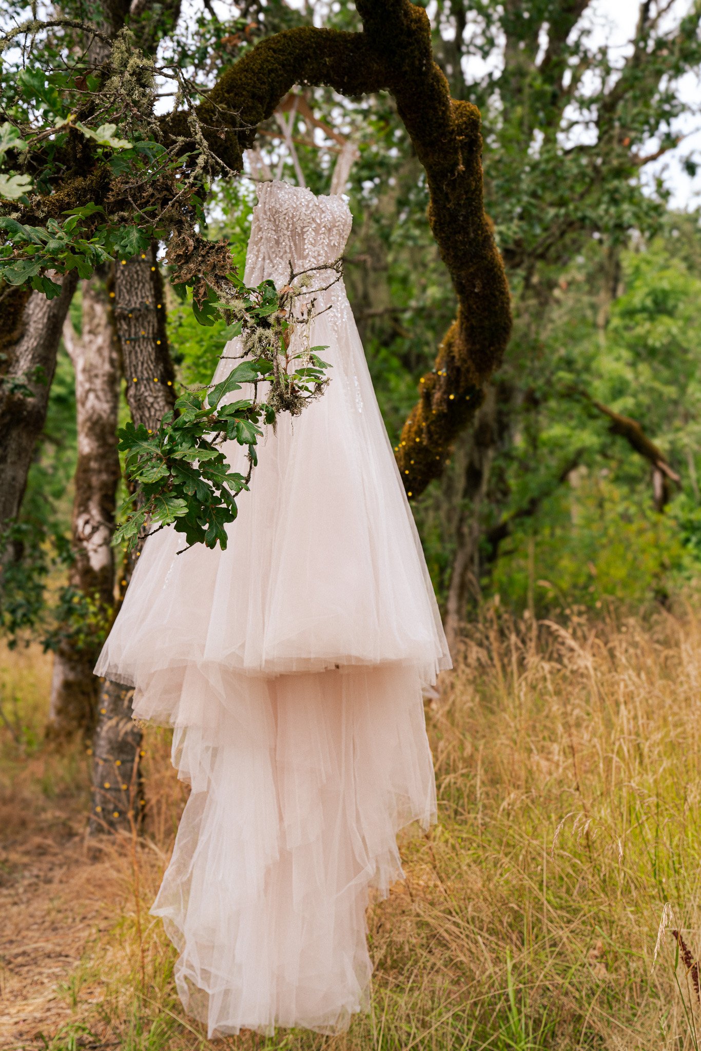 Mt. Pisgah Wedding photographer